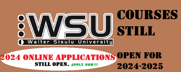 Which Courses Are Available At Wsu For 2024 2025 Apply Online For